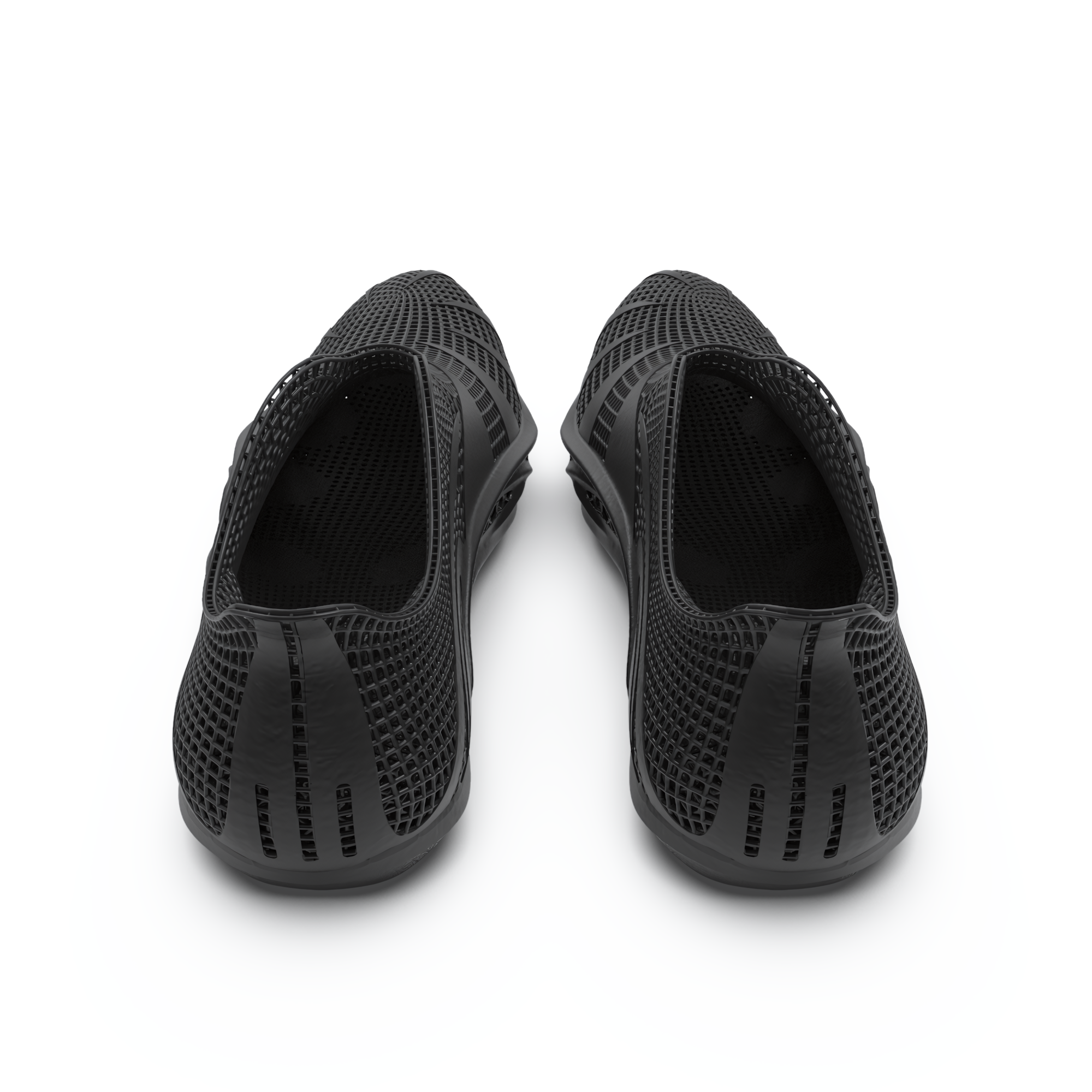 DERMIS RIDER CHAROCAL