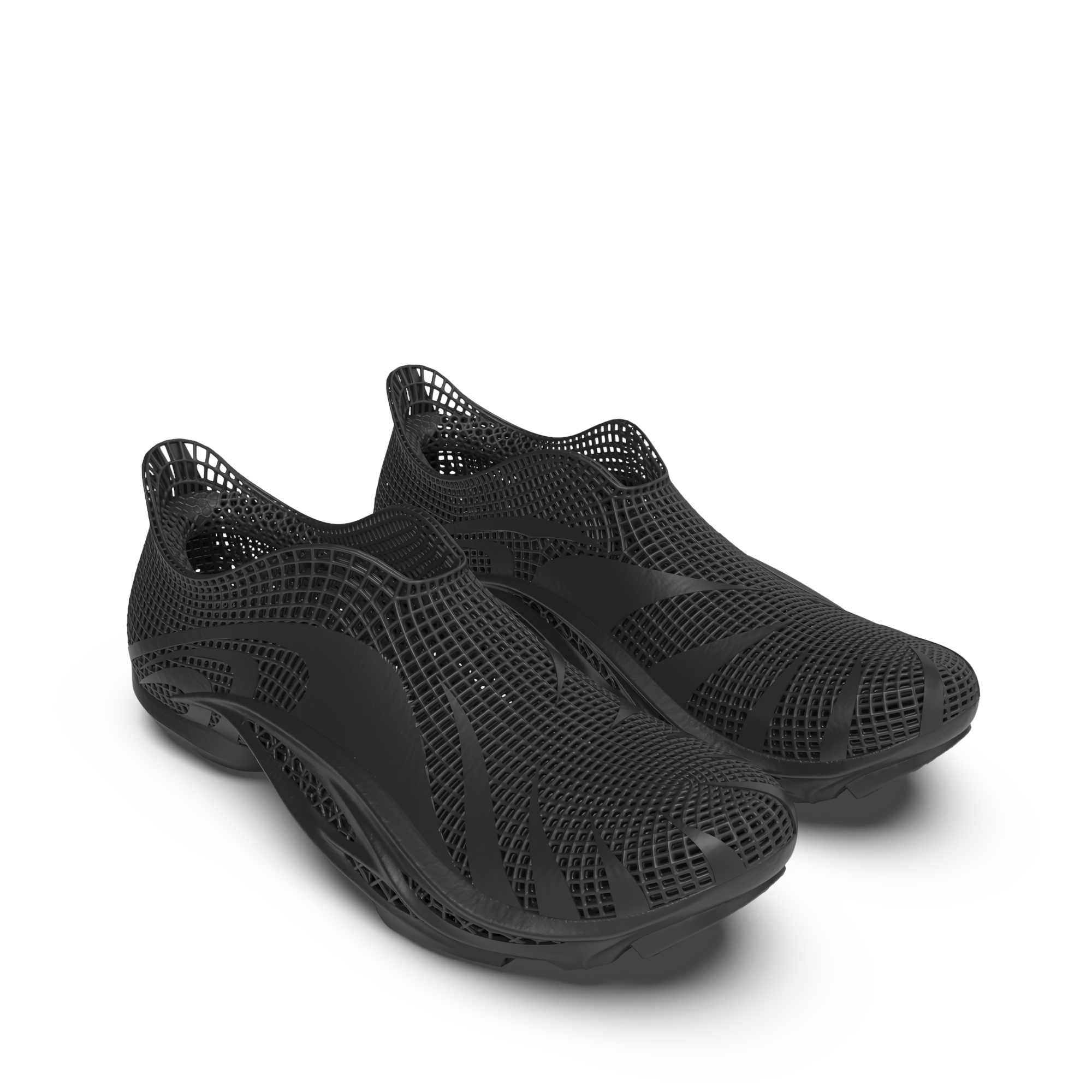 DERMIS RIDER CHAROCAL